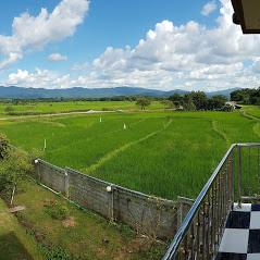บรรยากาศเฮือนวาดเขียน