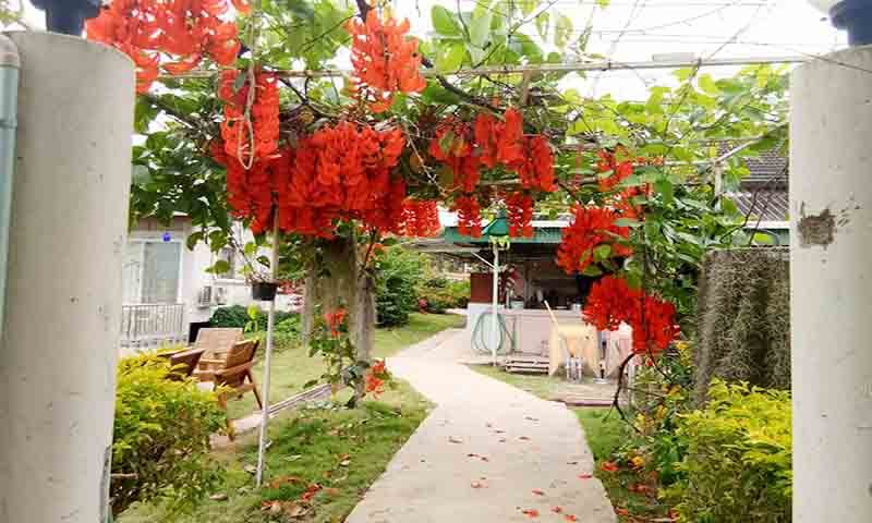 บรรยากาศเฮือนวาดเขียน